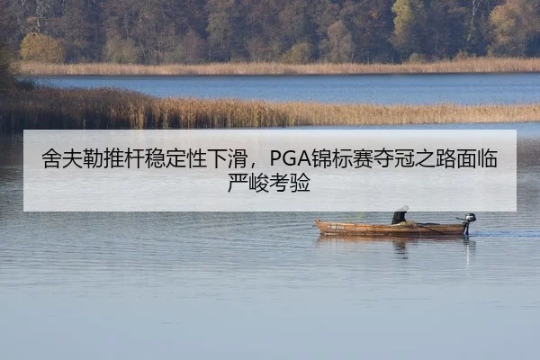 she-fu-lei-tui-gan-wen-ding-xing-xia-hua-jin-biao-sai-duo-guan-zhi-lu-mian-lin-yan-jun-kao-yan-2-383.jpg